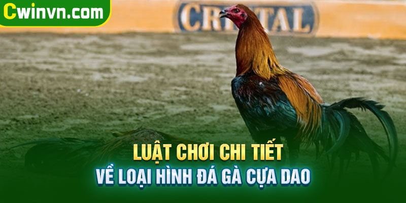 Luật chơi đá gà online chi tiết cho người chơi