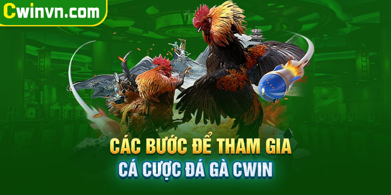 Hướng dẫn tham gia cá cược đá gà Cwin