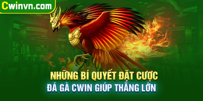 Những bí quyết đặt cược đá gà Cwin 