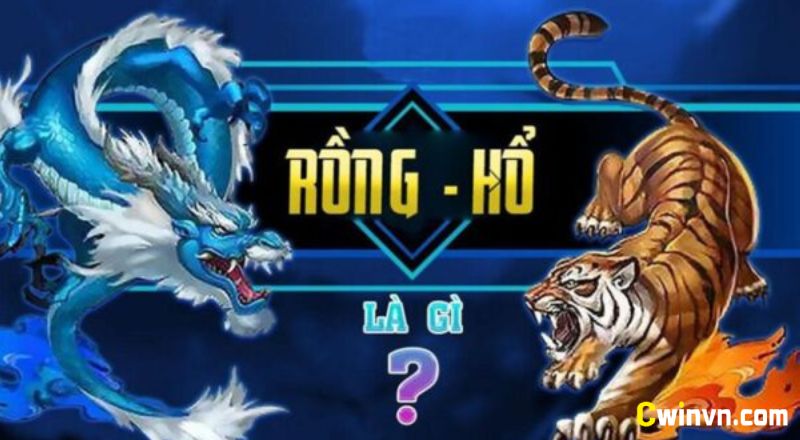 Đôi nét về game Rồng hổ là gì