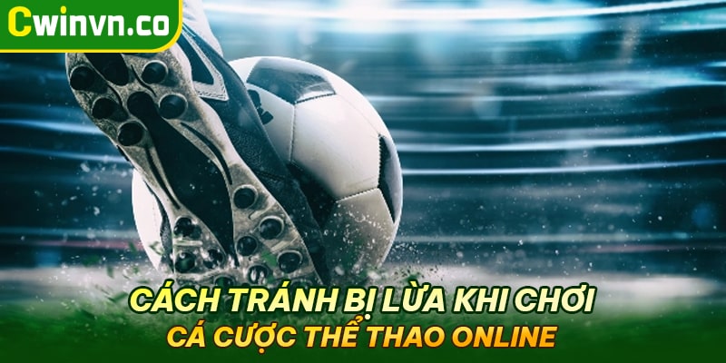 Mẹo tránh bị lừa khi chơi cá cược online